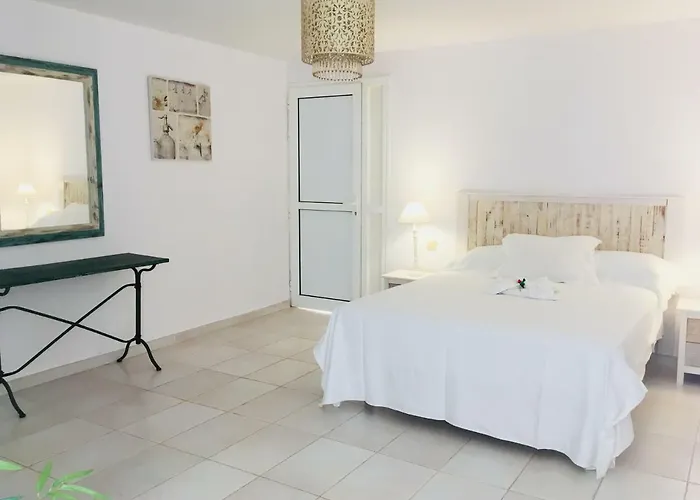 Cardon Big Calm 10 Apartment