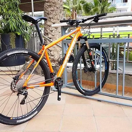 Cardon Big Calm 10 科斯塔卡玛